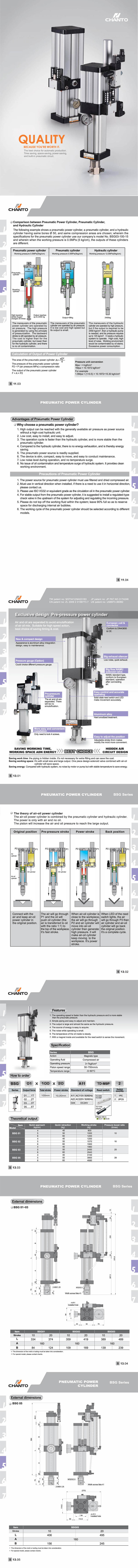 BSG air-oil power cylinder (magnetic)